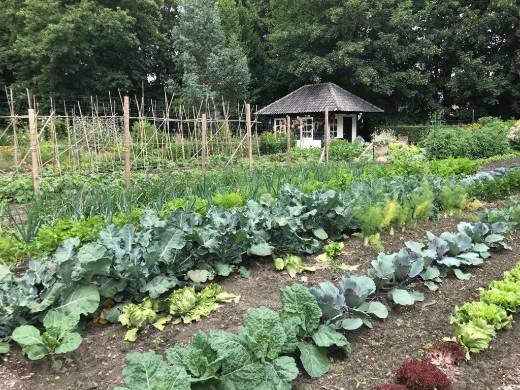 Het Wagenhuis Loon op Zand Экстерьер фото