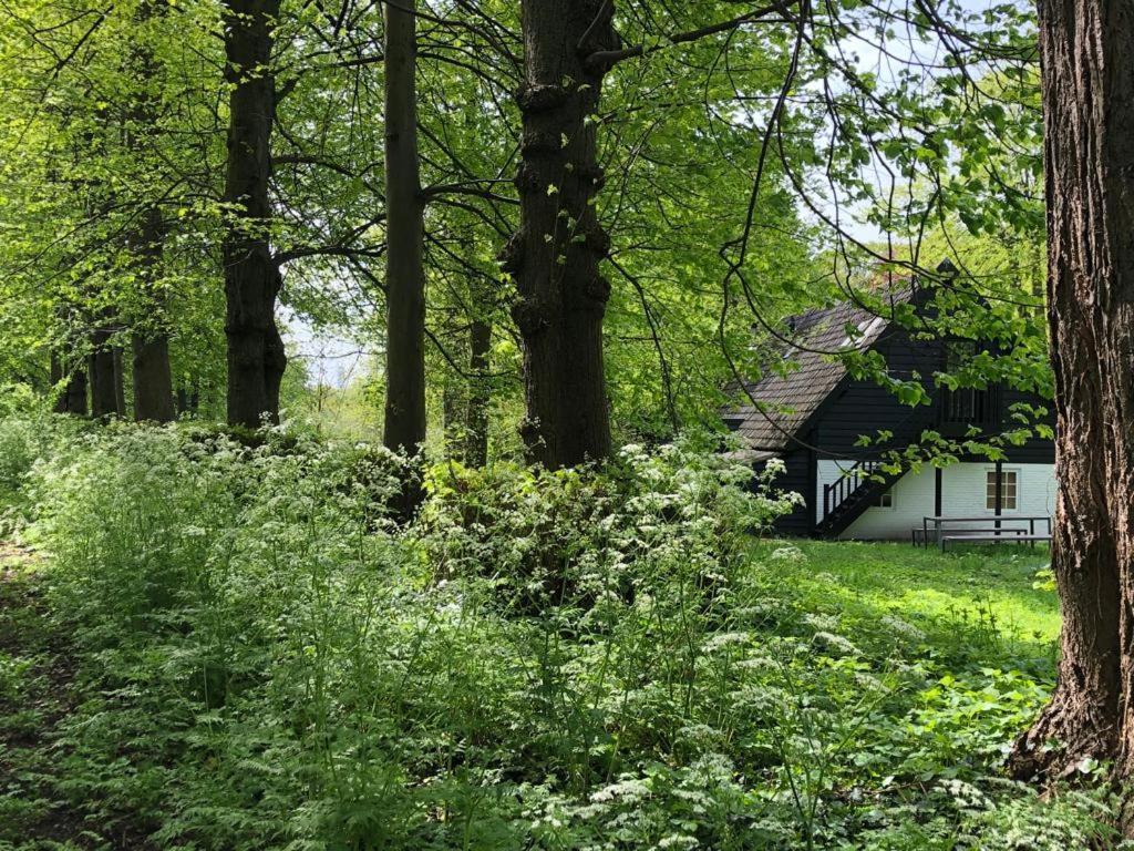 Het Wagenhuis Loon op Zand Экстерьер фото
